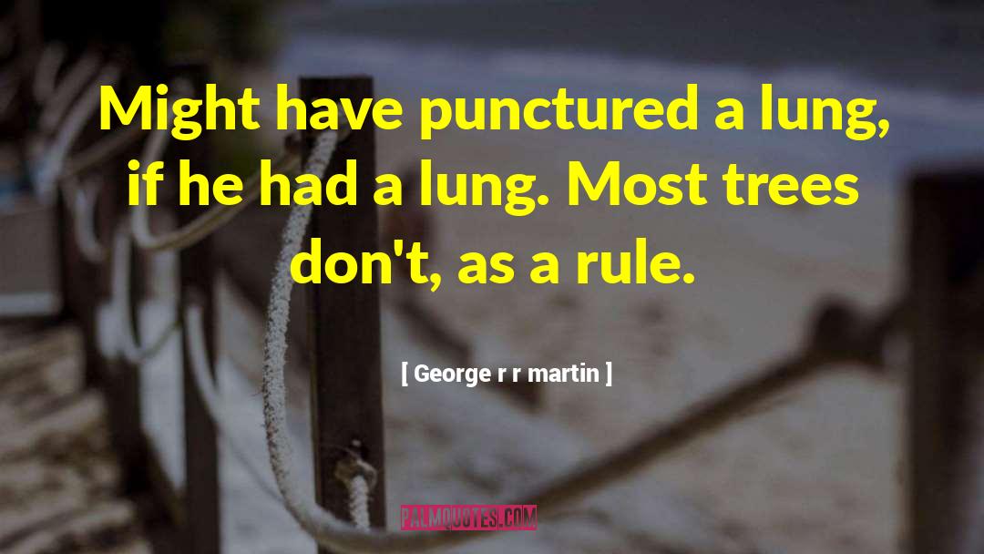 Punctured quotes by George R R Martin