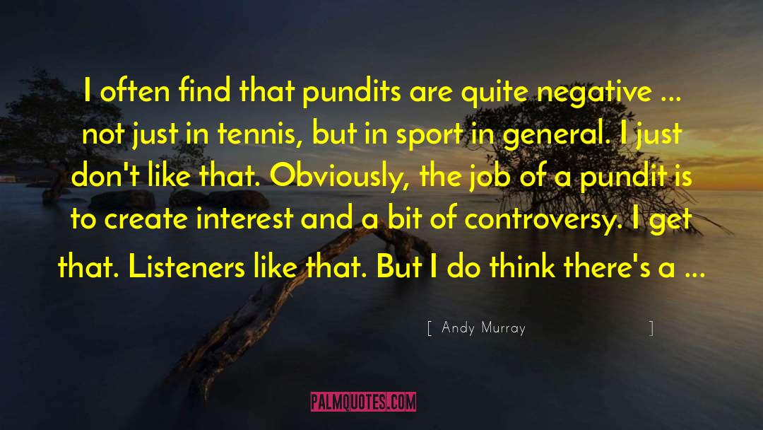 Pundits quotes by Andy Murray