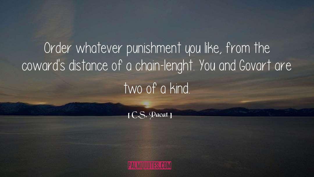 Punishment Retribution quotes by C.S. Pacat