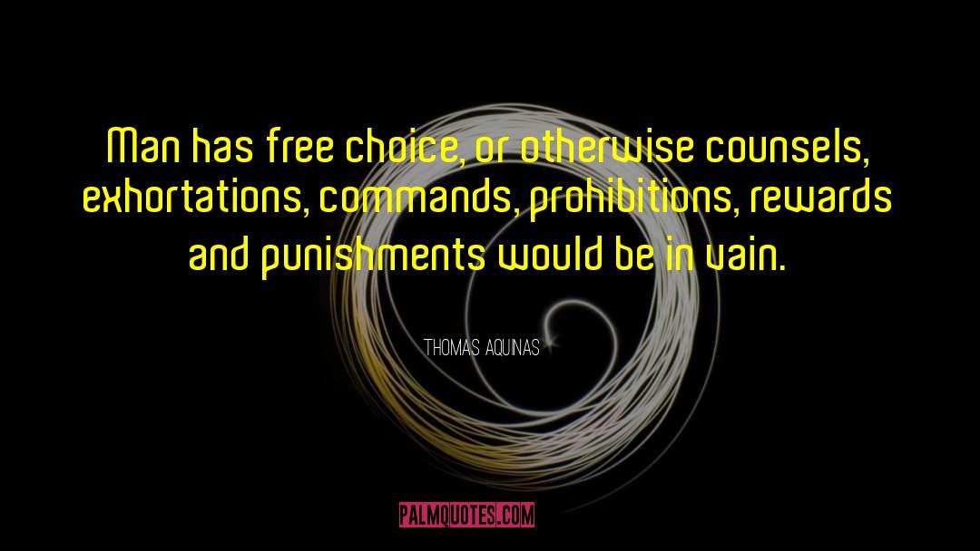 Punishments quotes by Thomas Aquinas