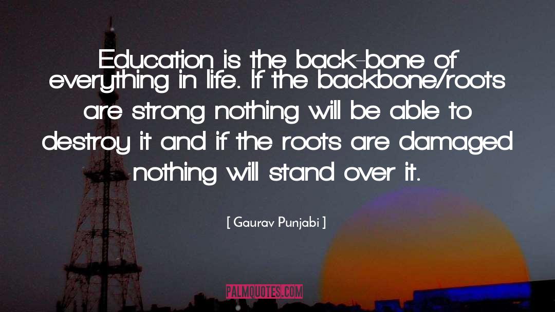 Punjabi quotes by Gaurav Punjabi