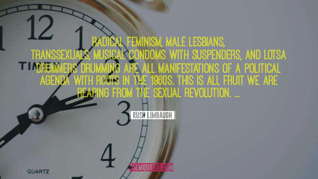 Punk Feminism quotes by Rush Limbaugh