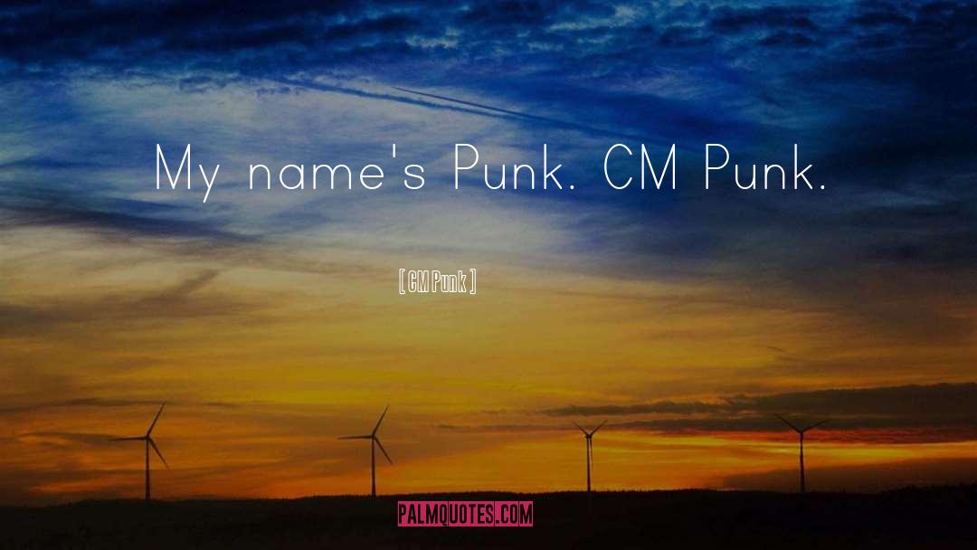Punk quotes by CM Punk