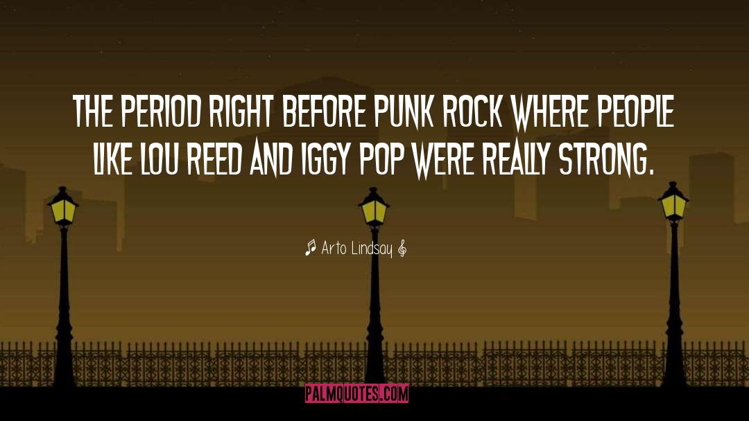 Punk Rock quotes by Arto Lindsay