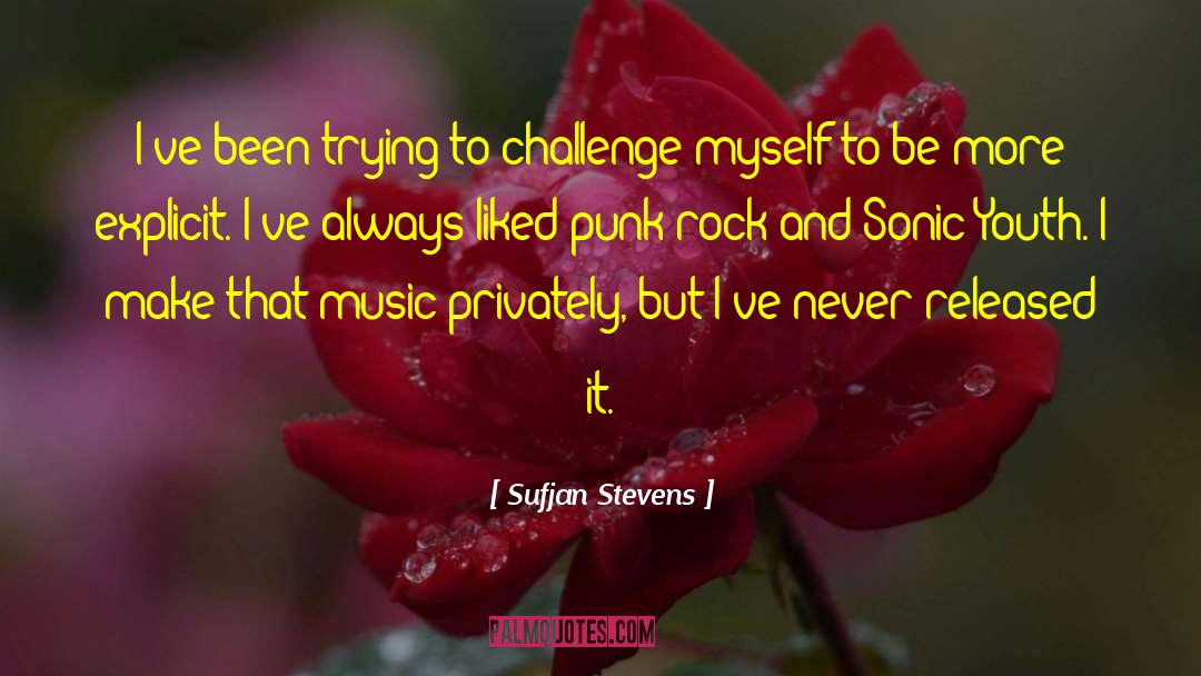 Punk Rock quotes by Sufjan Stevens