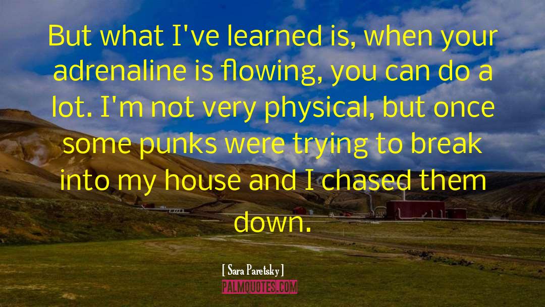 Punks quotes by Sara Paretsky