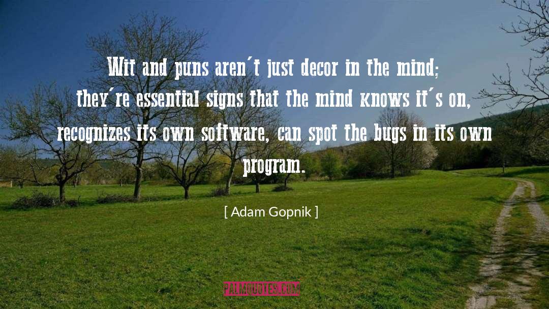 Puns quotes by Adam Gopnik