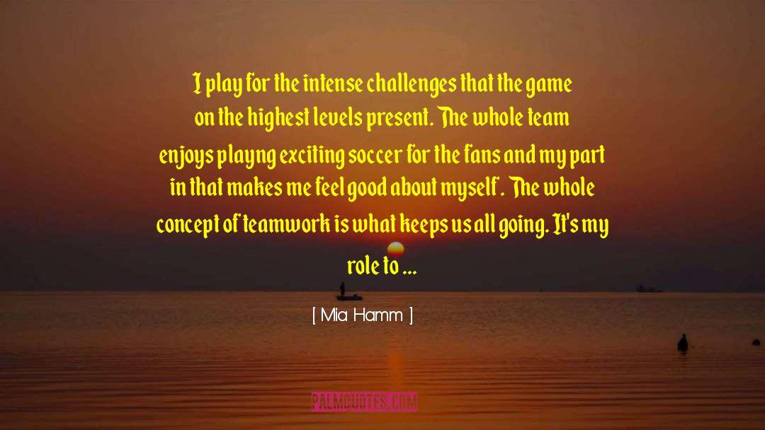 Punted Soccer quotes by Mia Hamm