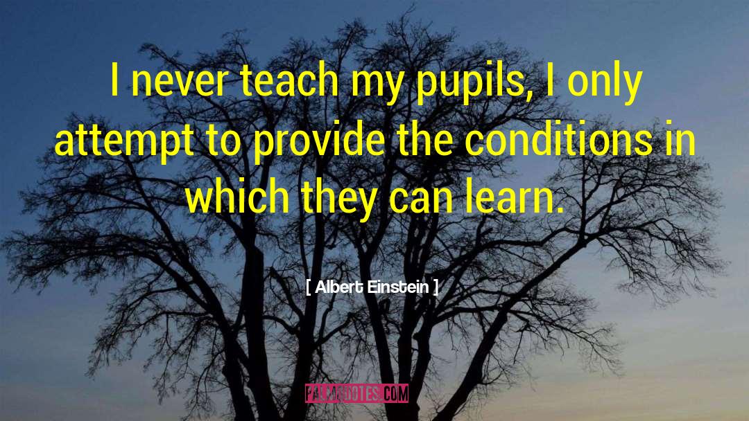 Pupils quotes by Albert Einstein