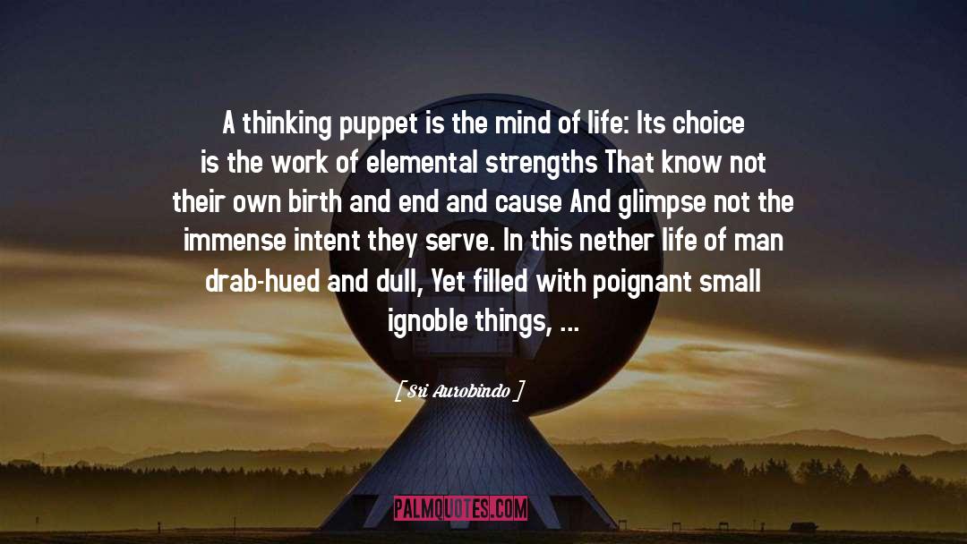 Puppet quotes by Sri Aurobindo