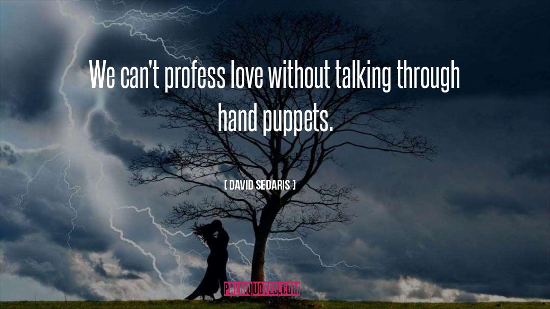 Puppets quotes by David Sedaris