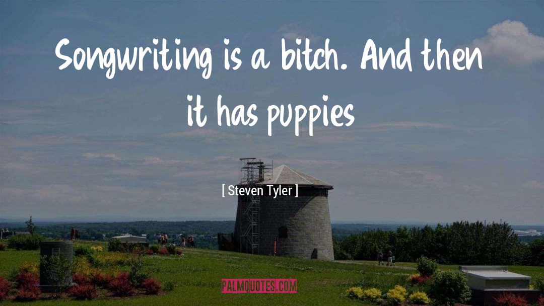 Puppies quotes by Steven Tyler