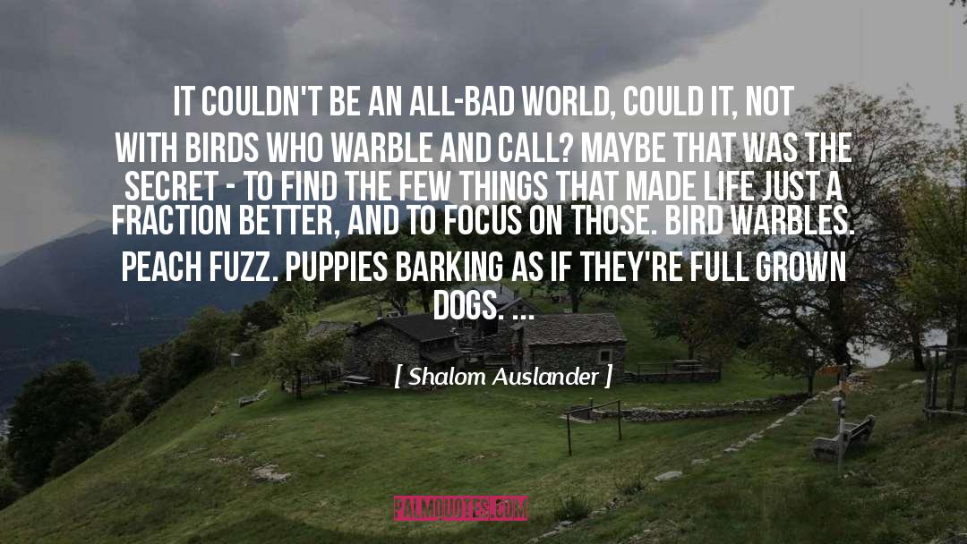 Puppies quotes by Shalom Auslander