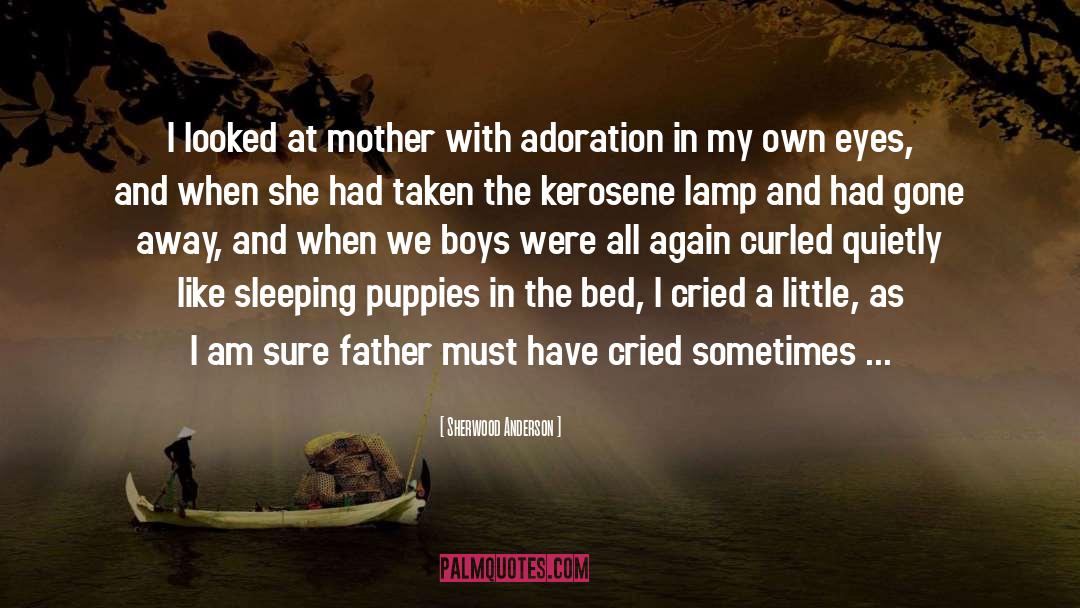 Puppies quotes by Sherwood Anderson