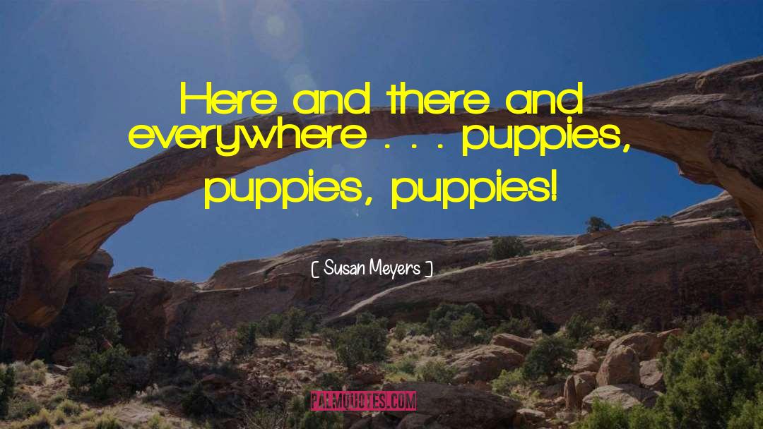 Puppies quotes by Susan Meyers