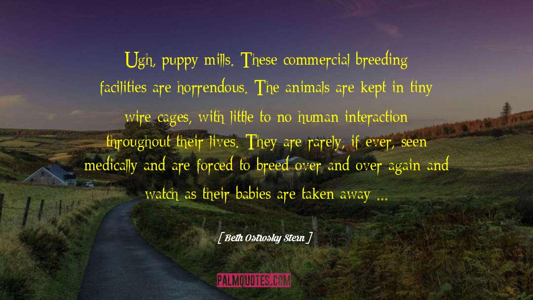 Puppy Mills quotes by Beth Ostrosky Stern