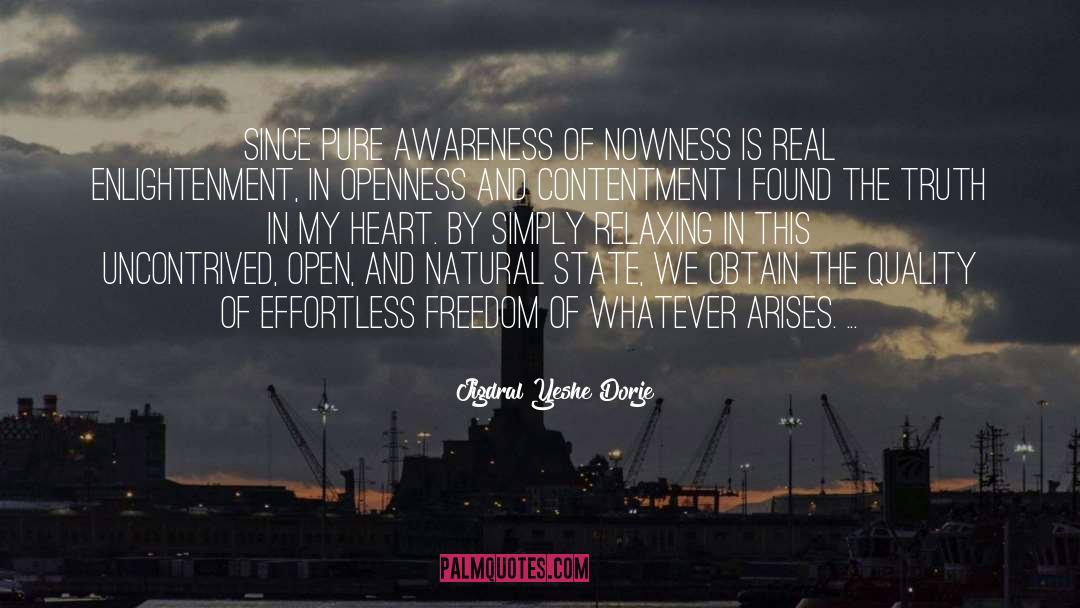 Pure Awareness Cosmic Field quotes by Jigdral Yeshe Dorje