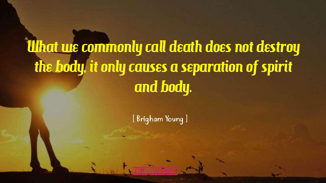 Pure Body quotes by Brigham Young