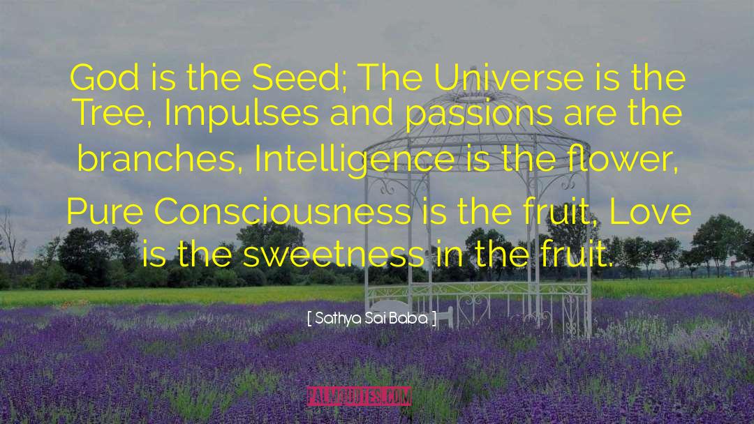 Pure Consciousness quotes by Sathya Sai Baba