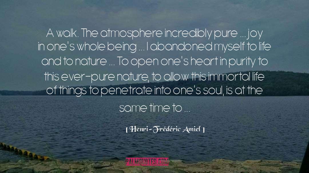 Pure Joy quotes by Henri-Frédéric Amiel