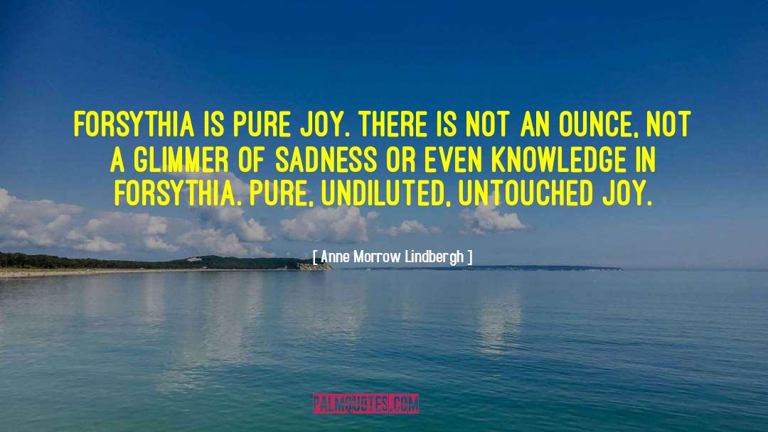 Pure Joy quotes by Anne Morrow Lindbergh