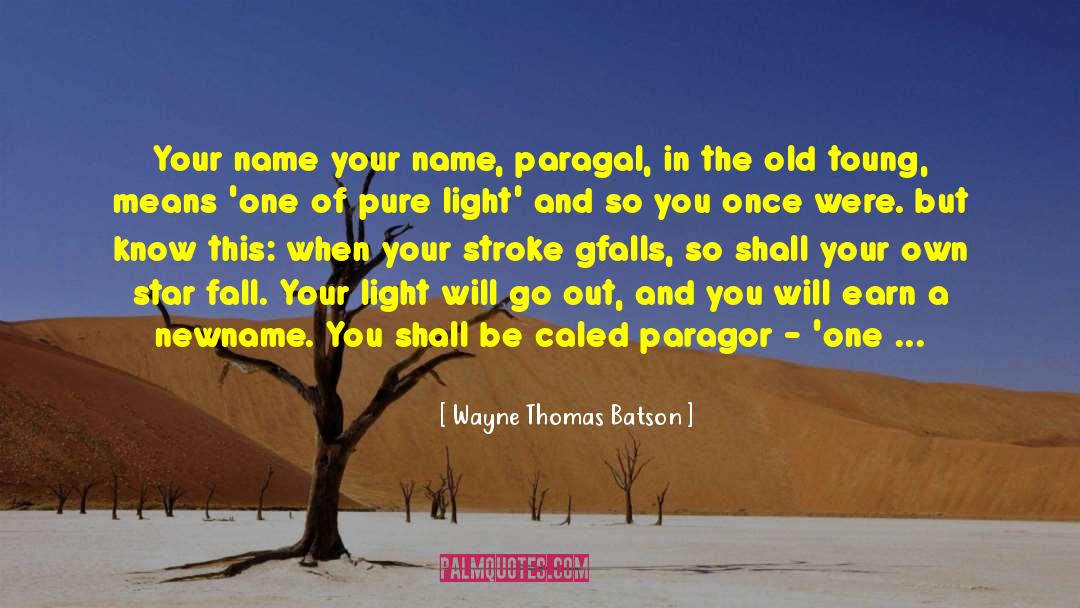 Pure Light quotes by Wayne Thomas Batson