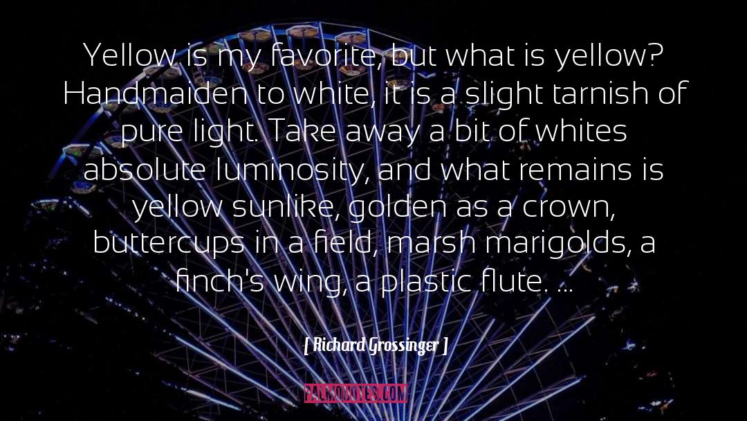 Pure Light quotes by Richard Grossinger