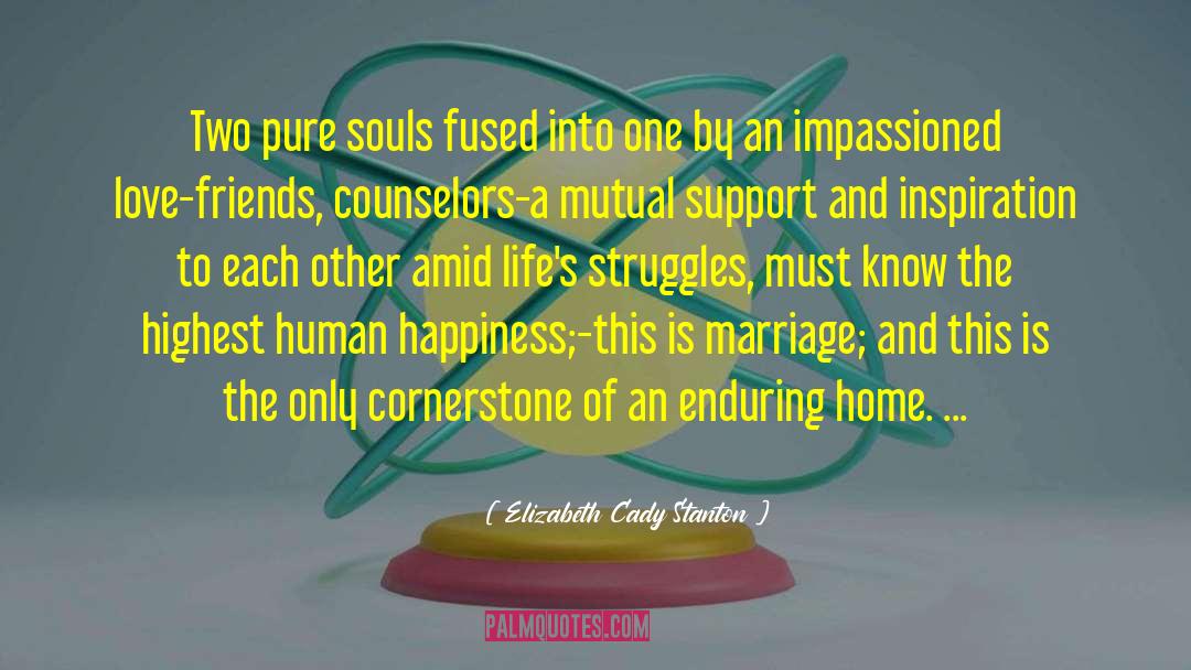 Pure Soul quotes by Elizabeth Cady Stanton