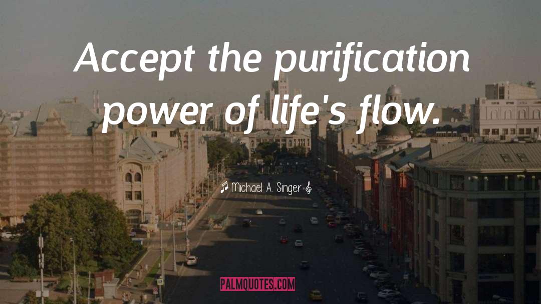 Purification quotes by Michael A. Singer