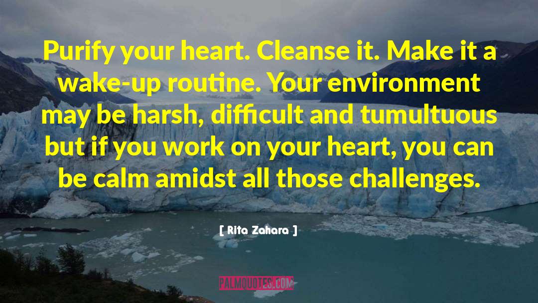 Purify Your Heart quotes by Rita Zahara