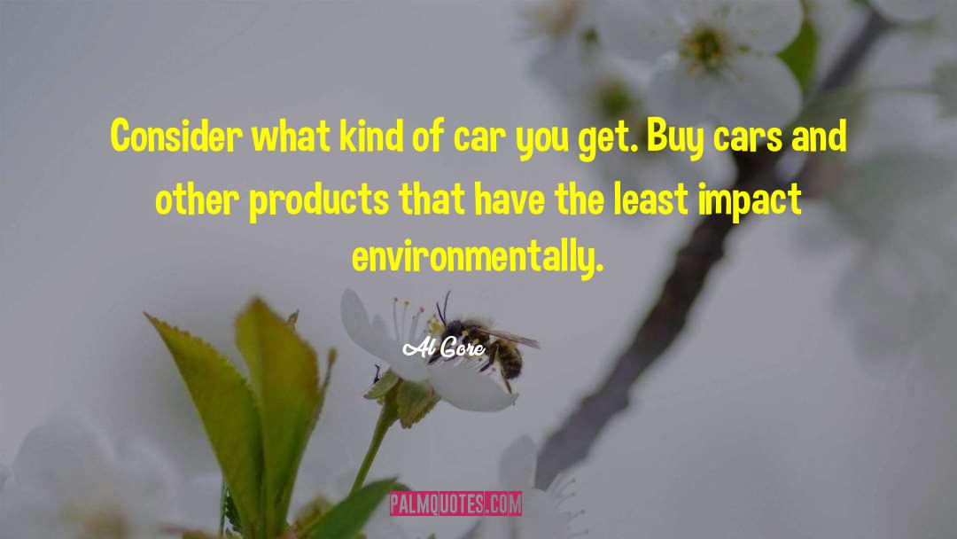 Puristic Products quotes by Al Gore