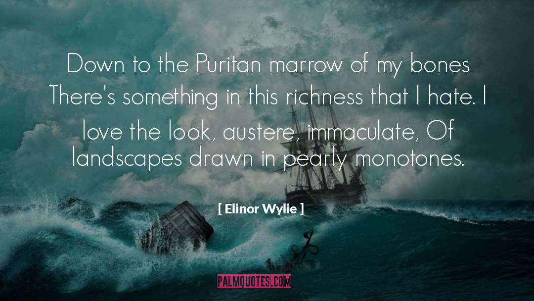 Puritan quotes by Elinor Wylie