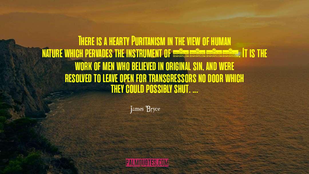 Puritanism quotes by James Bryce