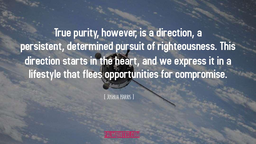 Purity quotes by Joshua Harris