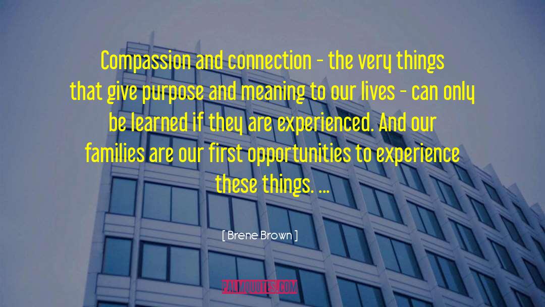 Purpose And Meaning quotes by Brene Brown