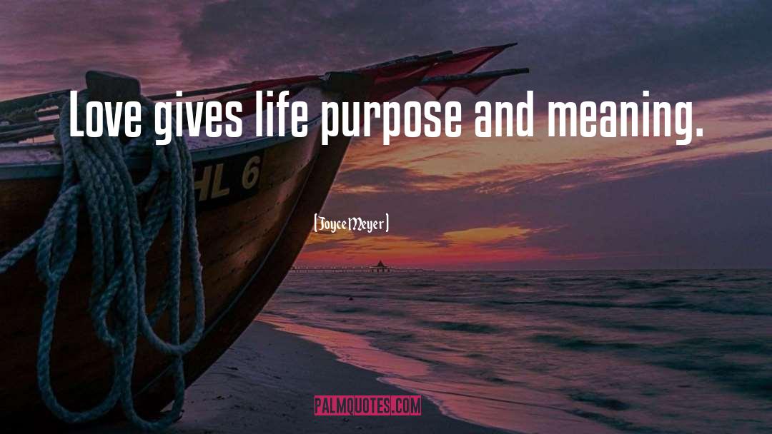 Purpose And Meaning quotes by Joyce Meyer
