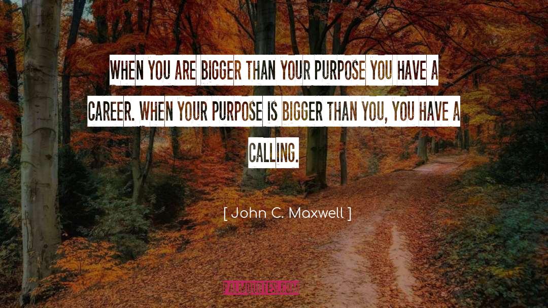 Purpose Calling quotes by John C. Maxwell