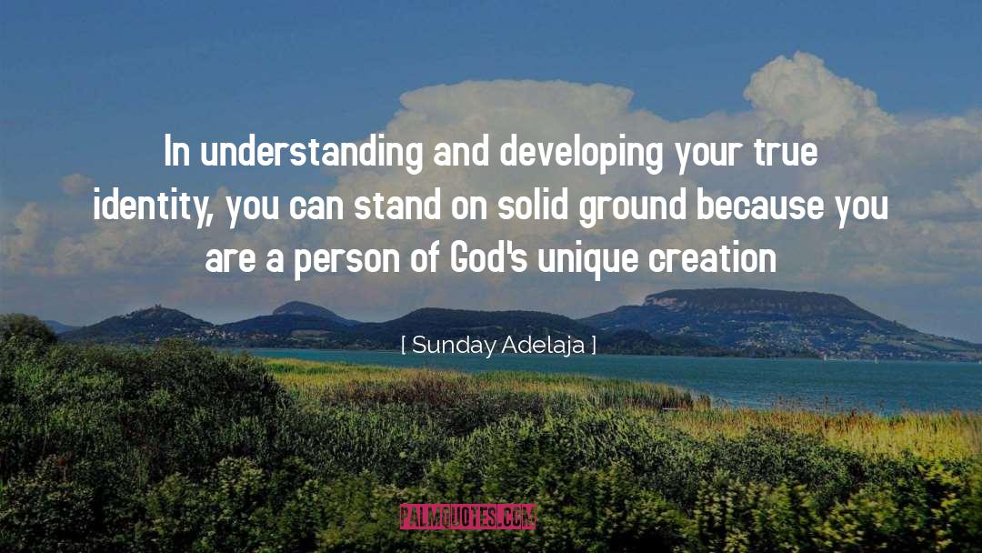 Purpose Calling quotes by Sunday Adelaja
