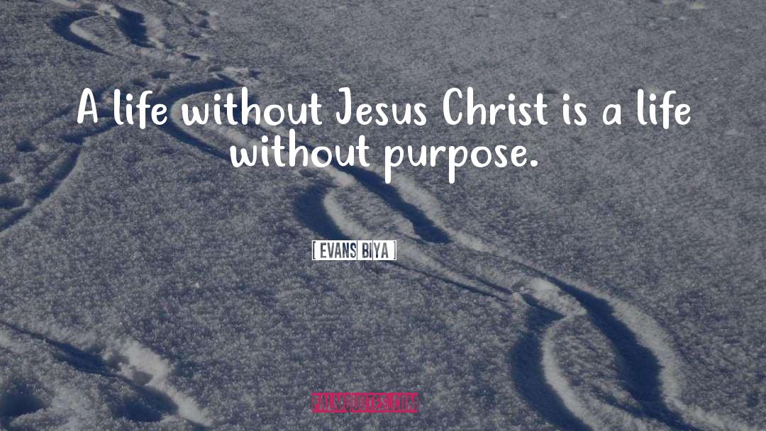Purpose Faith quotes by Evans Biya