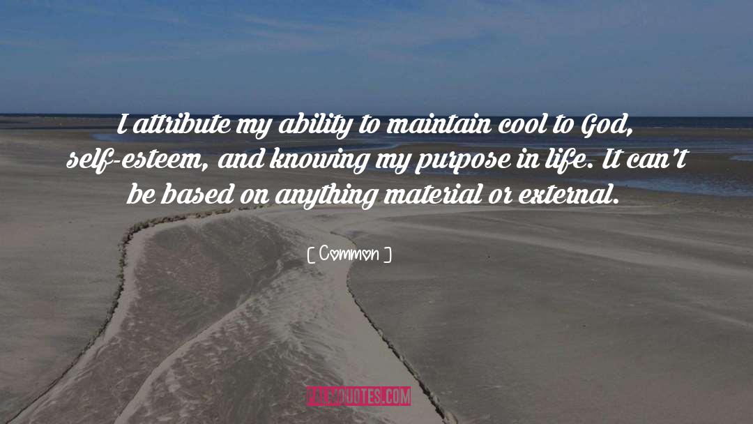 Purpose In Life quotes by Common