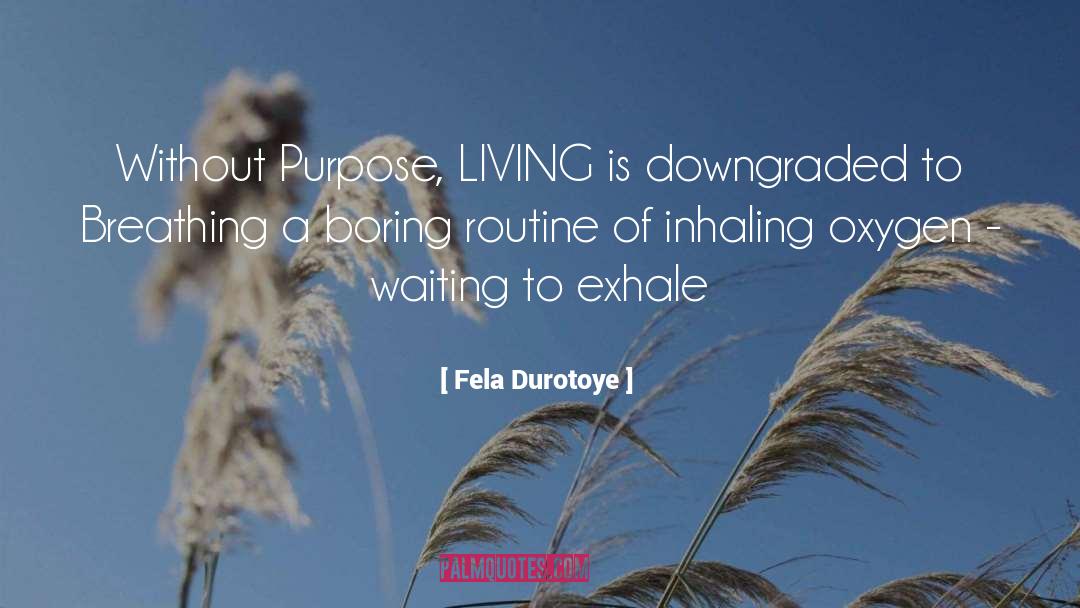 Purpose Living quotes by Fela Durotoye
