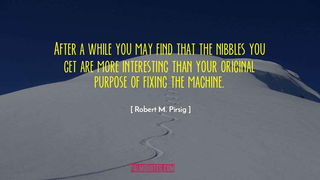 Purpose Of Creation quotes by Robert M. Pirsig