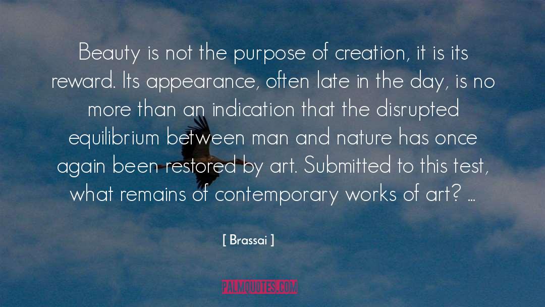 Purpose Of Creation quotes by Brassai