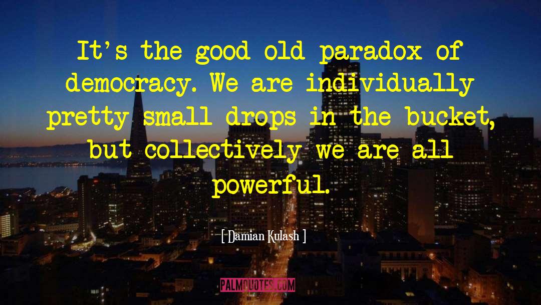 Purpose Of Democracy quotes by Damian Kulash