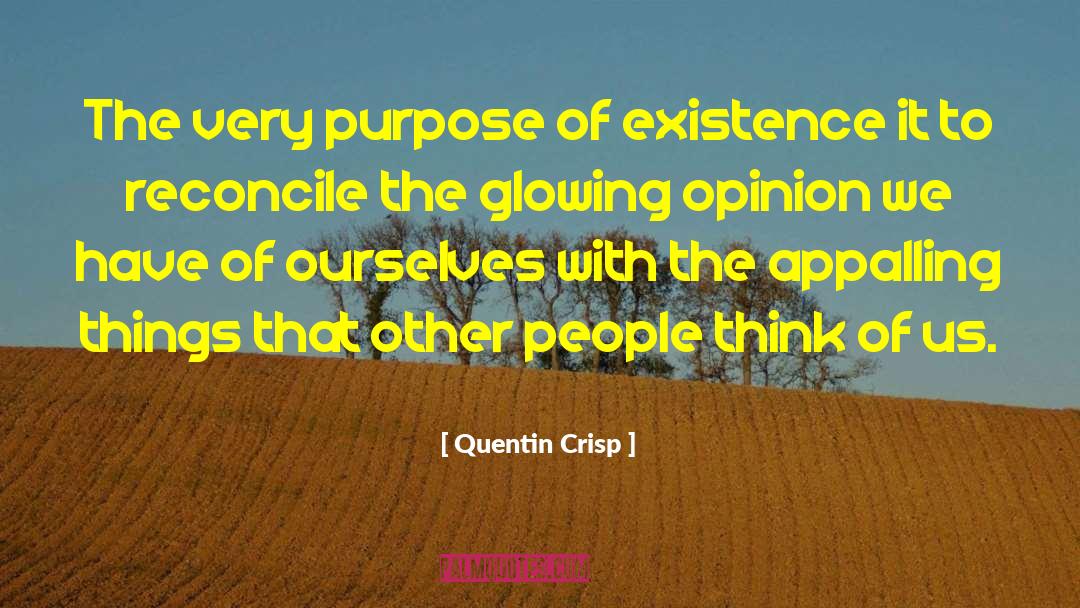 Purpose Of Existence quotes by Quentin Crisp