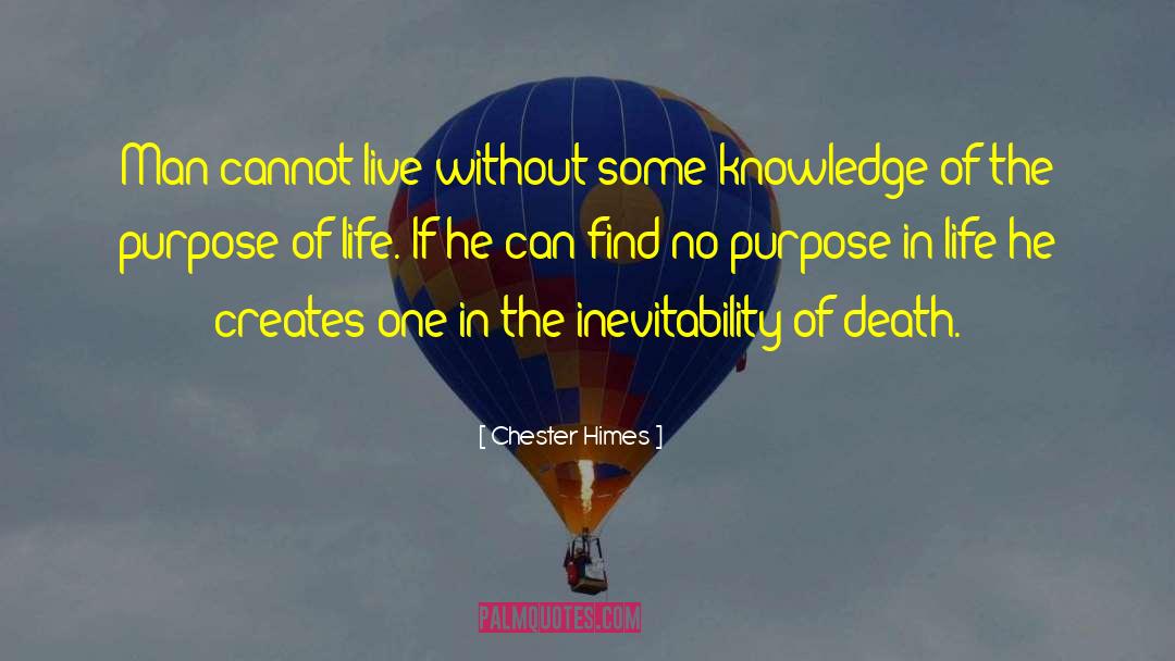 Purpose Of Life quotes by Chester Himes