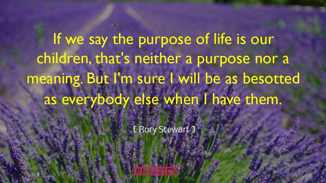 Purpose Of Life quotes by Rory Stewart