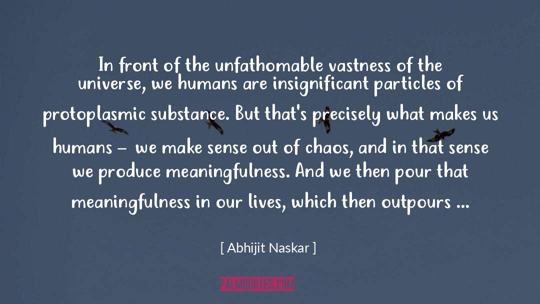 Purpose Of Universe quotes by Abhijit Naskar