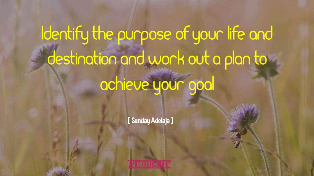 Purpose Of Your Life quotes by Sunday Adelaja