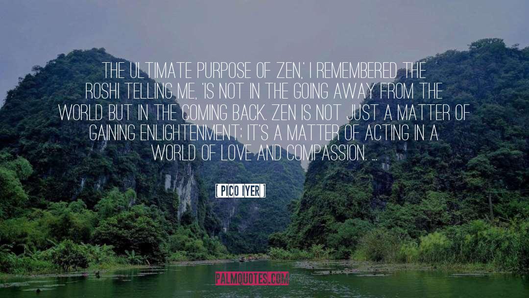 Purpose quotes by Pico Iyer